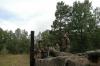 Kliknij by wejść a0518_t1.jpg