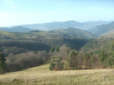 s5002701.jpg