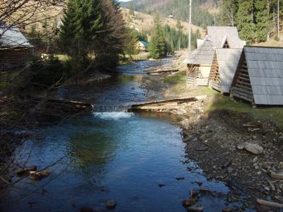 s5002755.jpg