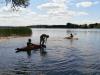 Kliknij by wejść p6101436_t1.jpg