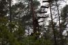 Kliknij by wejść dsc01578_t1.jpg