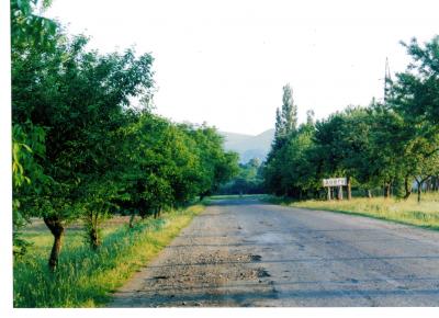 71.jpg