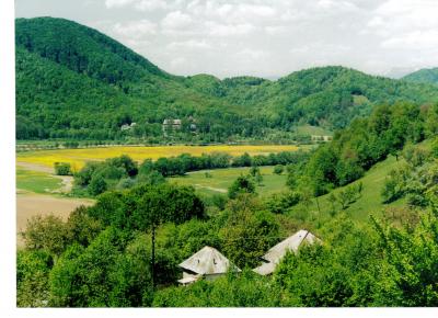 95.jpg