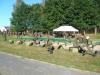Kliknij by wejść p1130472_t1.jpg