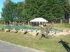 Kliknij by wejść p1130473_t1.jpg