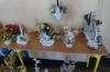 Kliknij by wejść dsc08441_t1.jpg