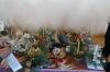 Kliknij by wejść dsc08577_t1.jpg