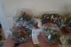 Kliknij by wejść dsc08597_t1.jpg