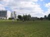 Kliknij by wejść img_2495_t1.jpg
