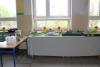 Kliknij by wejść img_6190_t1.jpg